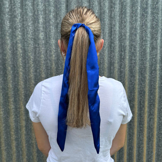 Royal Blue Silk - Tie