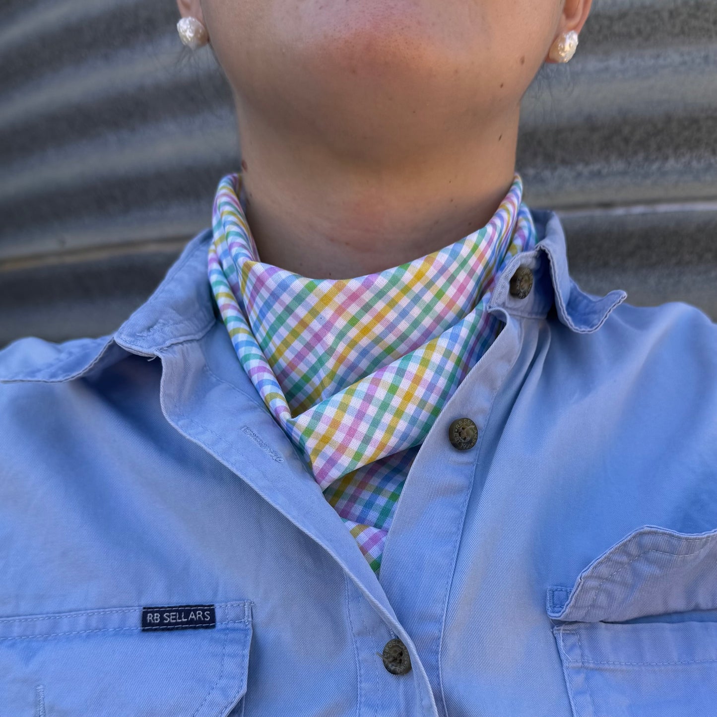 Rainbow Check - Scarf