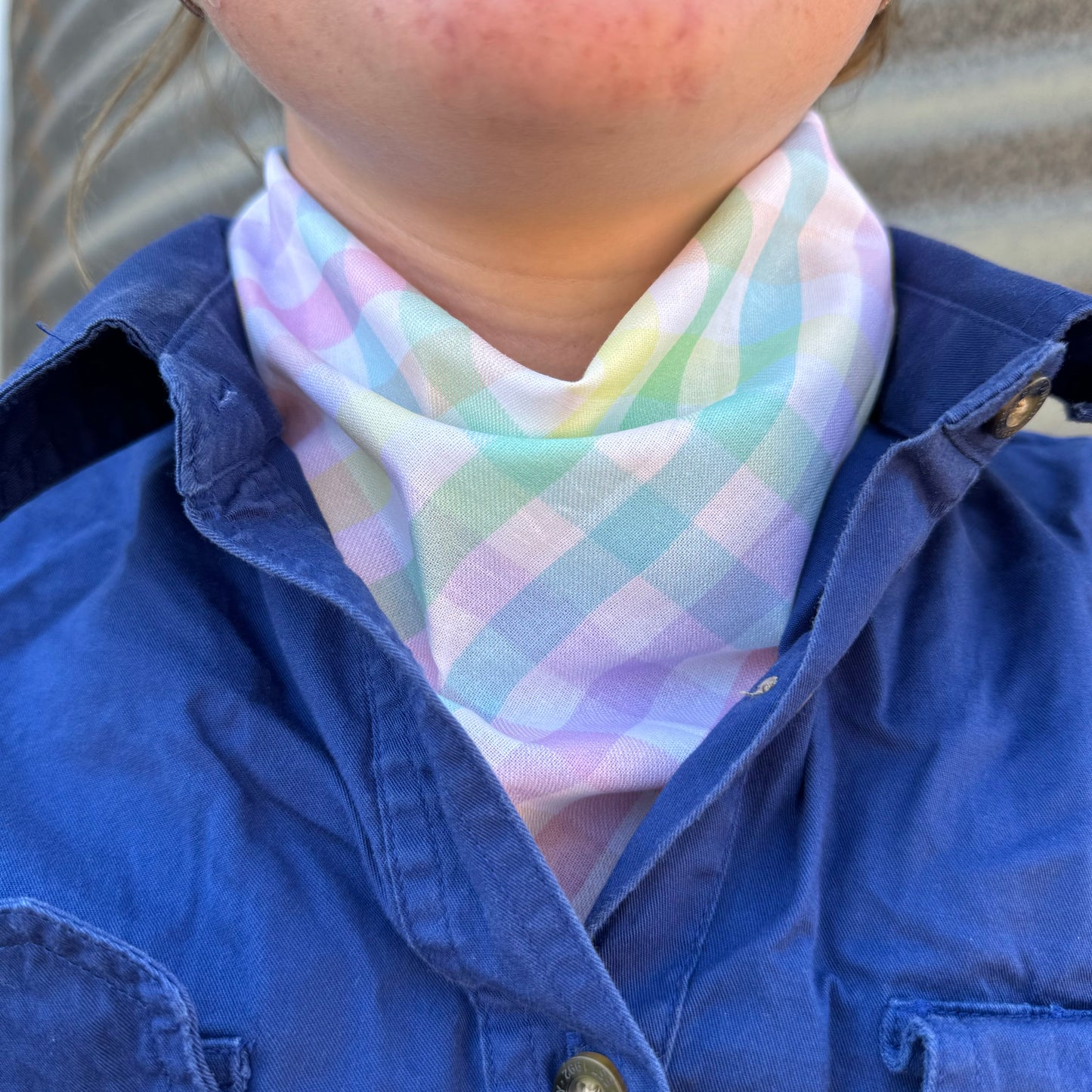 Rainbow Check - Adult Neck Scarf