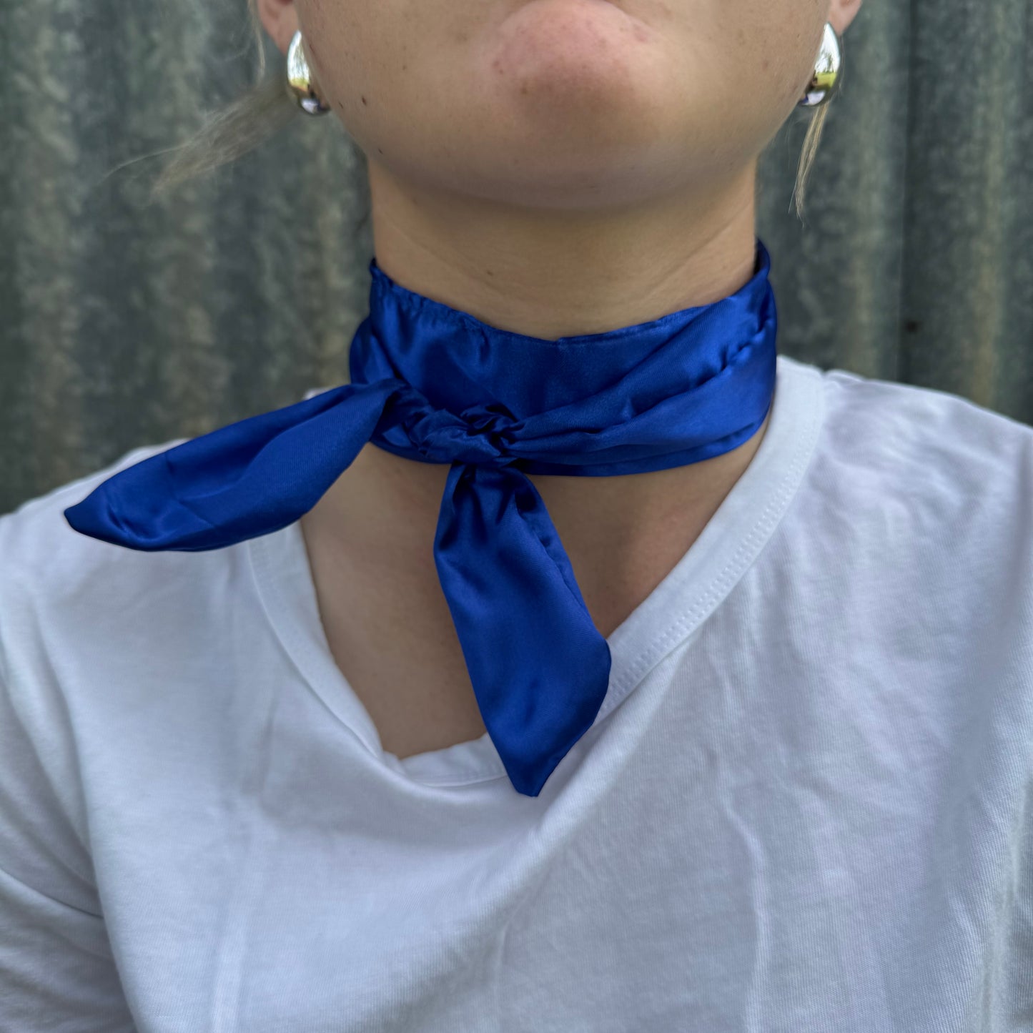 Royal Blue Silk - Tie